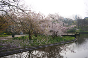 Hamburg Planten un Blomen
