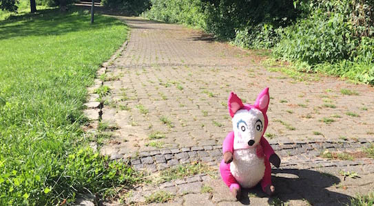 Polly Pink auf dem Weg zur Erfa Location