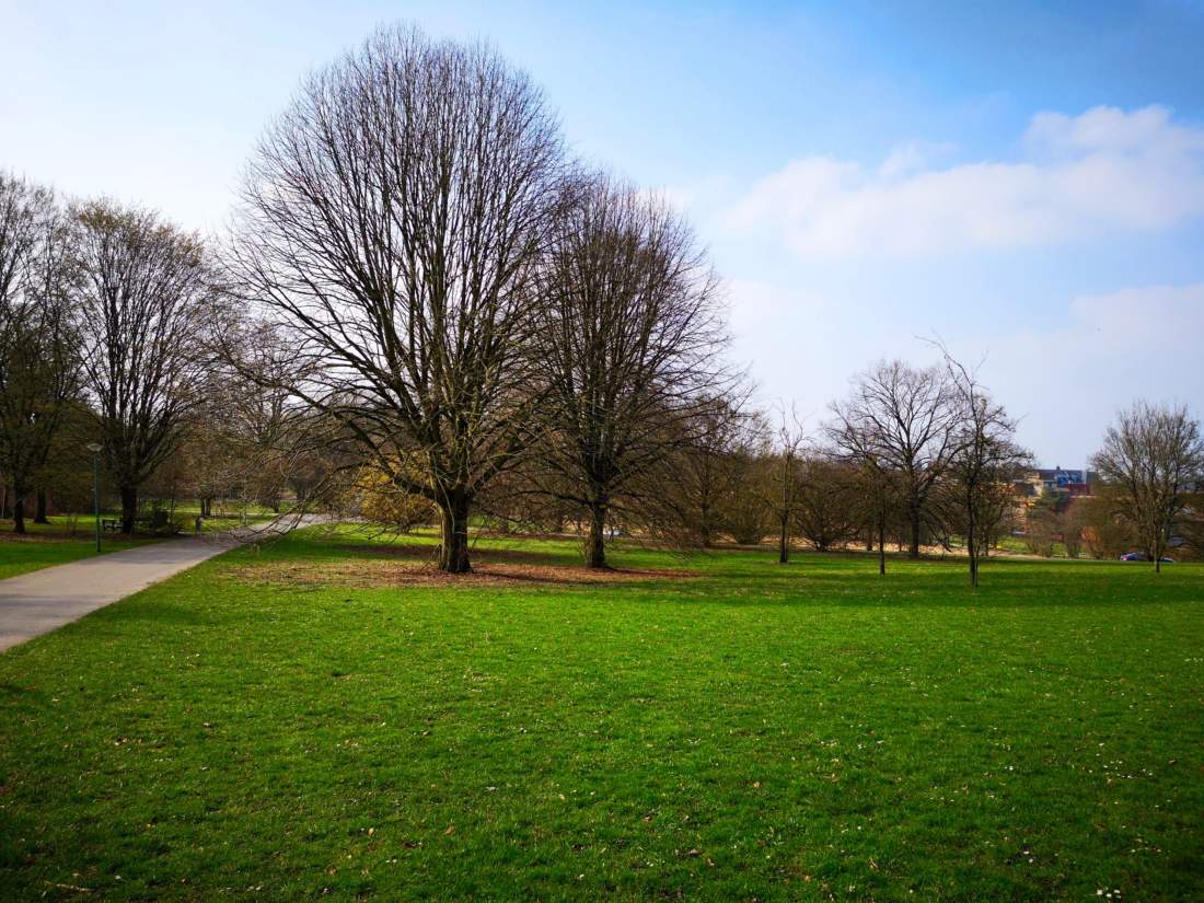 Andrea Kursstandort Botanischer Garten Laufmamalauf