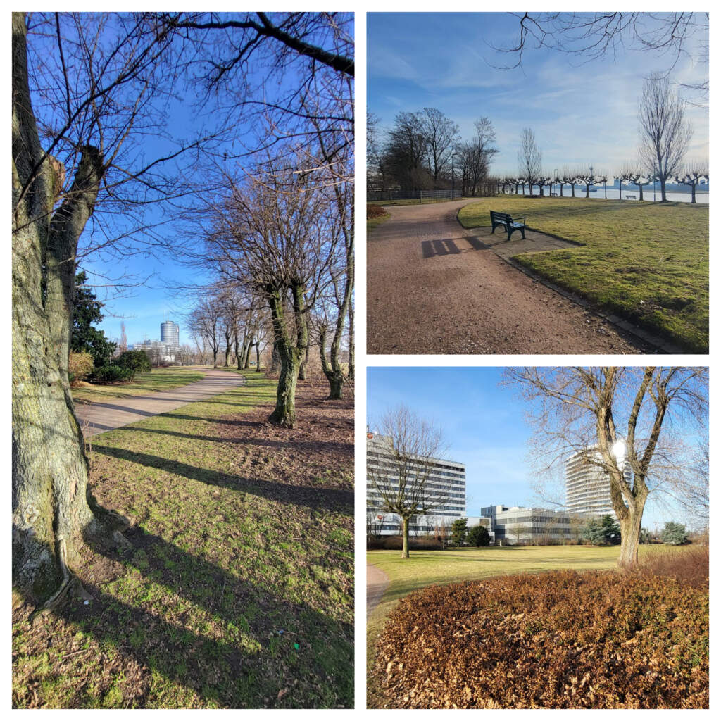 Laufmamalauf
